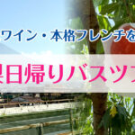 桃・地元ワイン・本格フレンチを楽しむ！山梨日帰りバスツアー