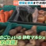 6/23『砂町マルシェの野菜詰め放題』がメディアで紹介されました！